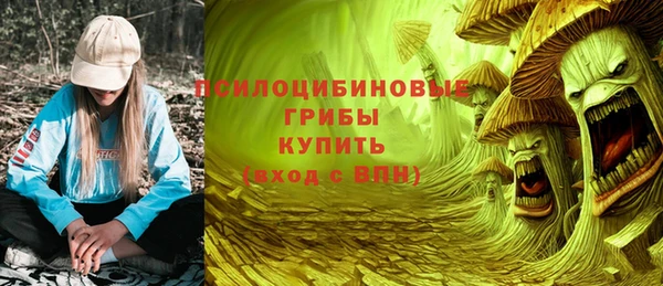 a pvp Белокуриха