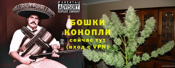 таблы Снежногорск