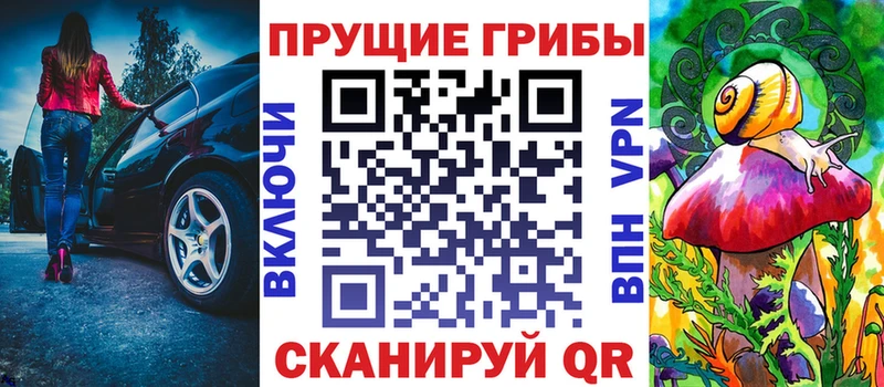 где можно купить Острогожск Галлюциногенные грибы Psilocybine cubensis