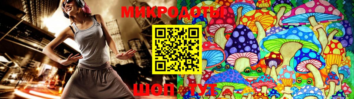 Острогожск  Галлюциногенные грибы Psilocybine cubensis  Вход с VPN 